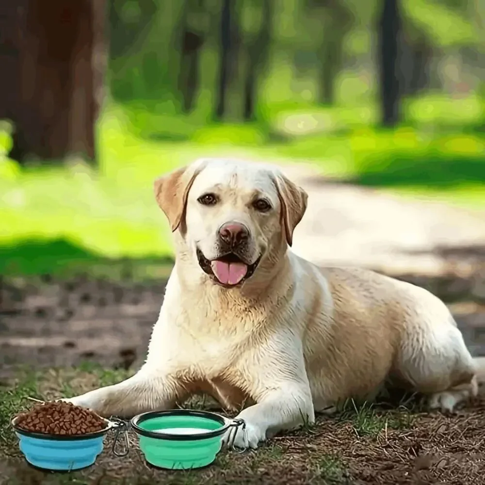 Collapsible Pet Travel Food or Water Bowl with Buckle